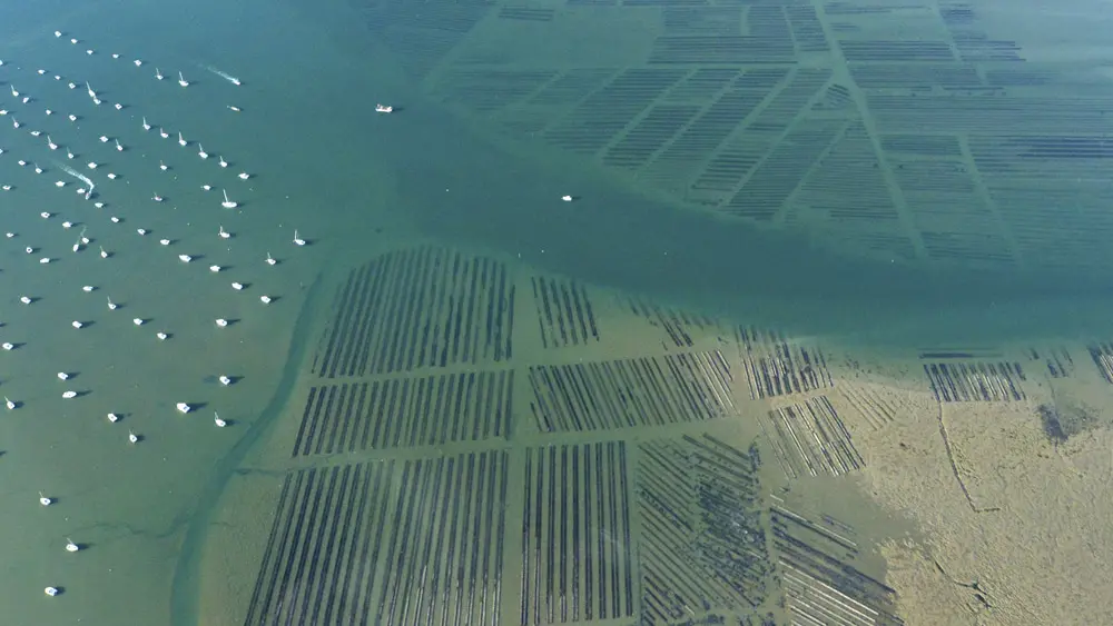 Fiche-12--Mesquer-Parc-à-huitres_tlocquard-2023