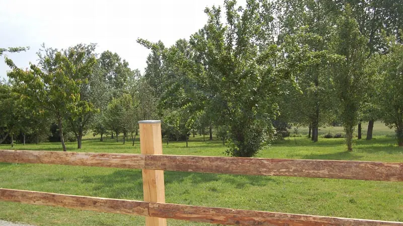 Gite de groupe de Monsieur Bessierre