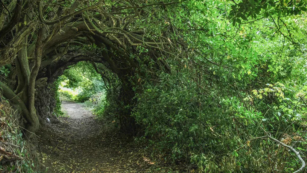 Location Moguériec - GR34 dans la Vallée du Guillec