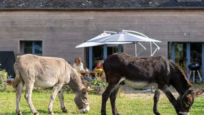 Domaine-de-Kernanou-Ploërmel-Destination-Brocéliande-Bretagne