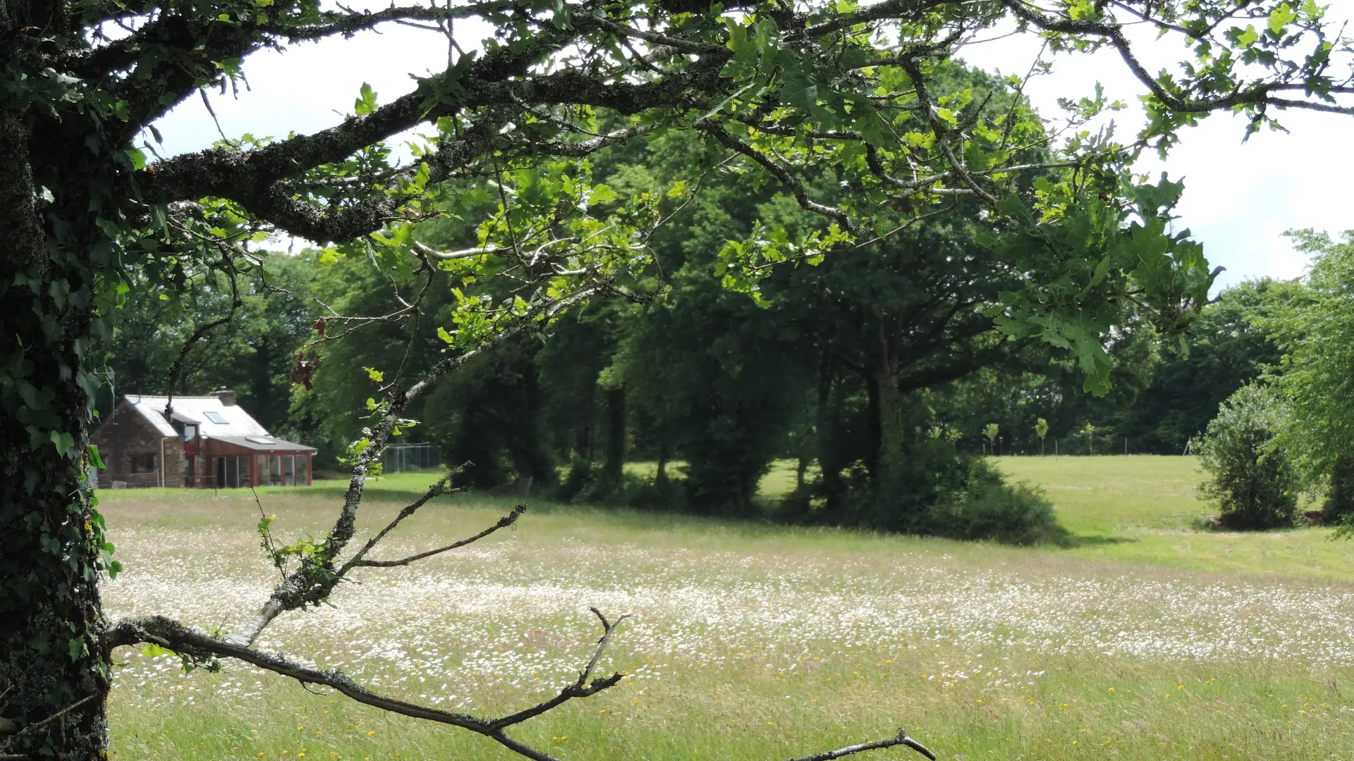 Gite-Le-Cellier-Paimpont-vue-lointaine-gite