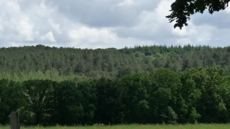 Gîte de Kerelec vue sur la campagne - Pleucadeuc - Morbihan - Bretagne