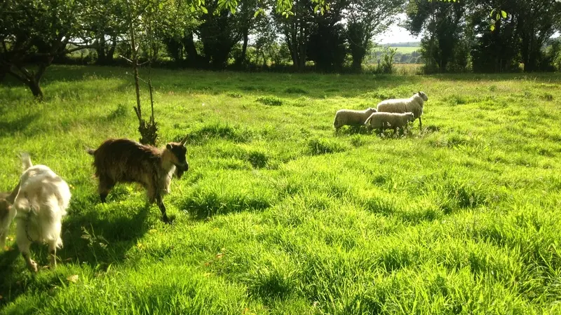 Gite ext1 L'Evasion_Sainte_Brigitte