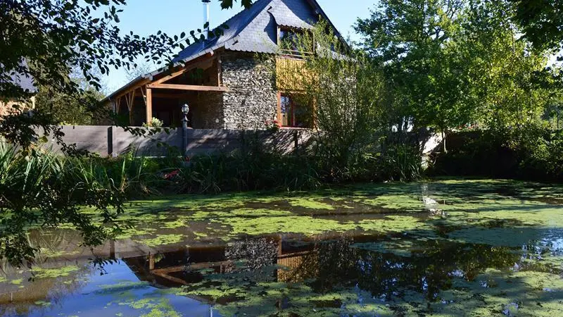 Gîte le Gros Chêne