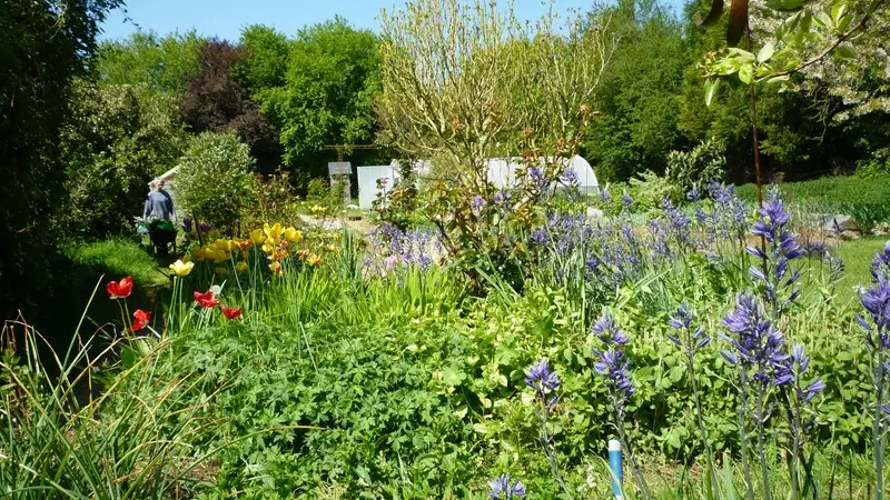 Gite terre Compagne - Jardin