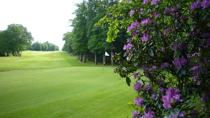 Golf de la Freslonnière