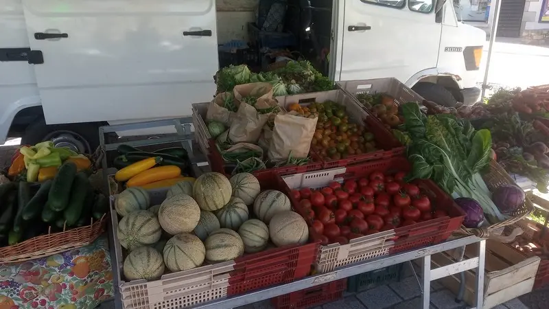 Ferme Graines de vie - Guégon - Morbihan