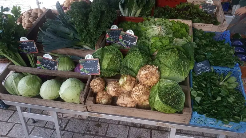 Ferme Graines de vie - Guégon - Morbihan