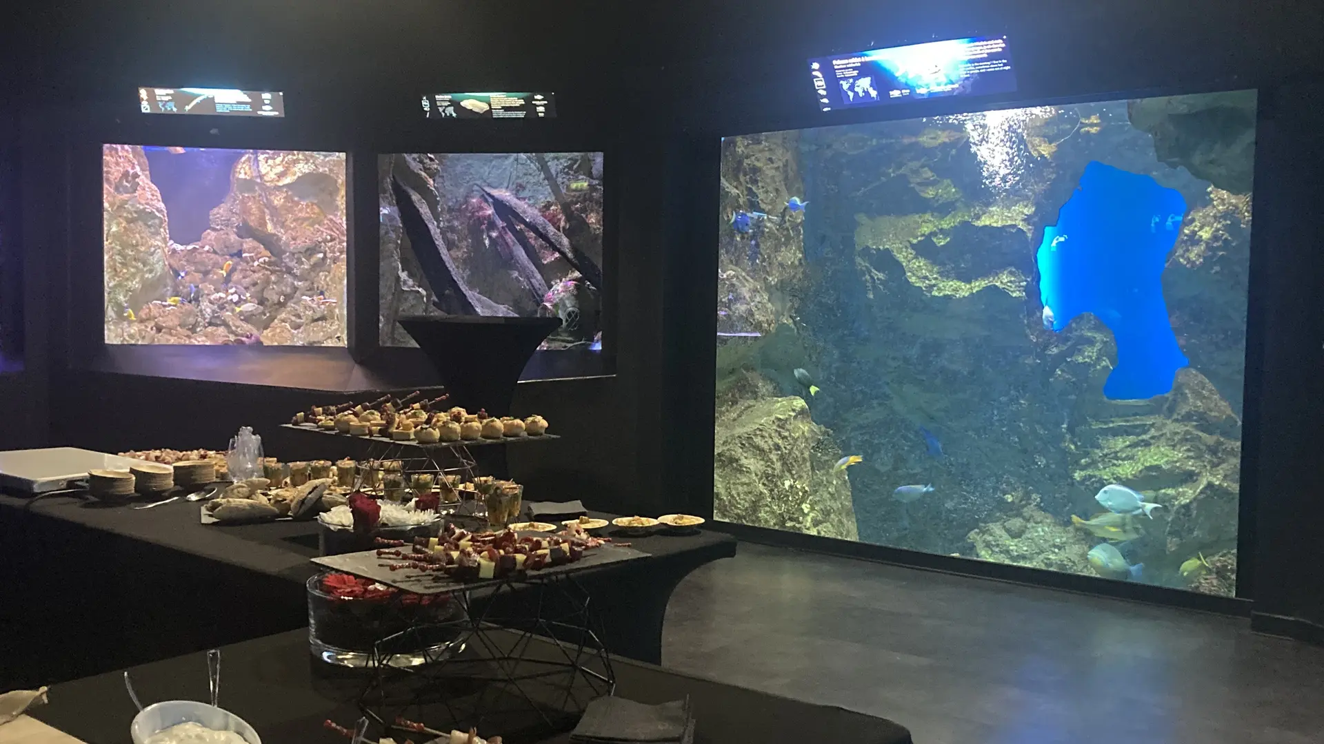 Grand Aquarium de Saint-Malo