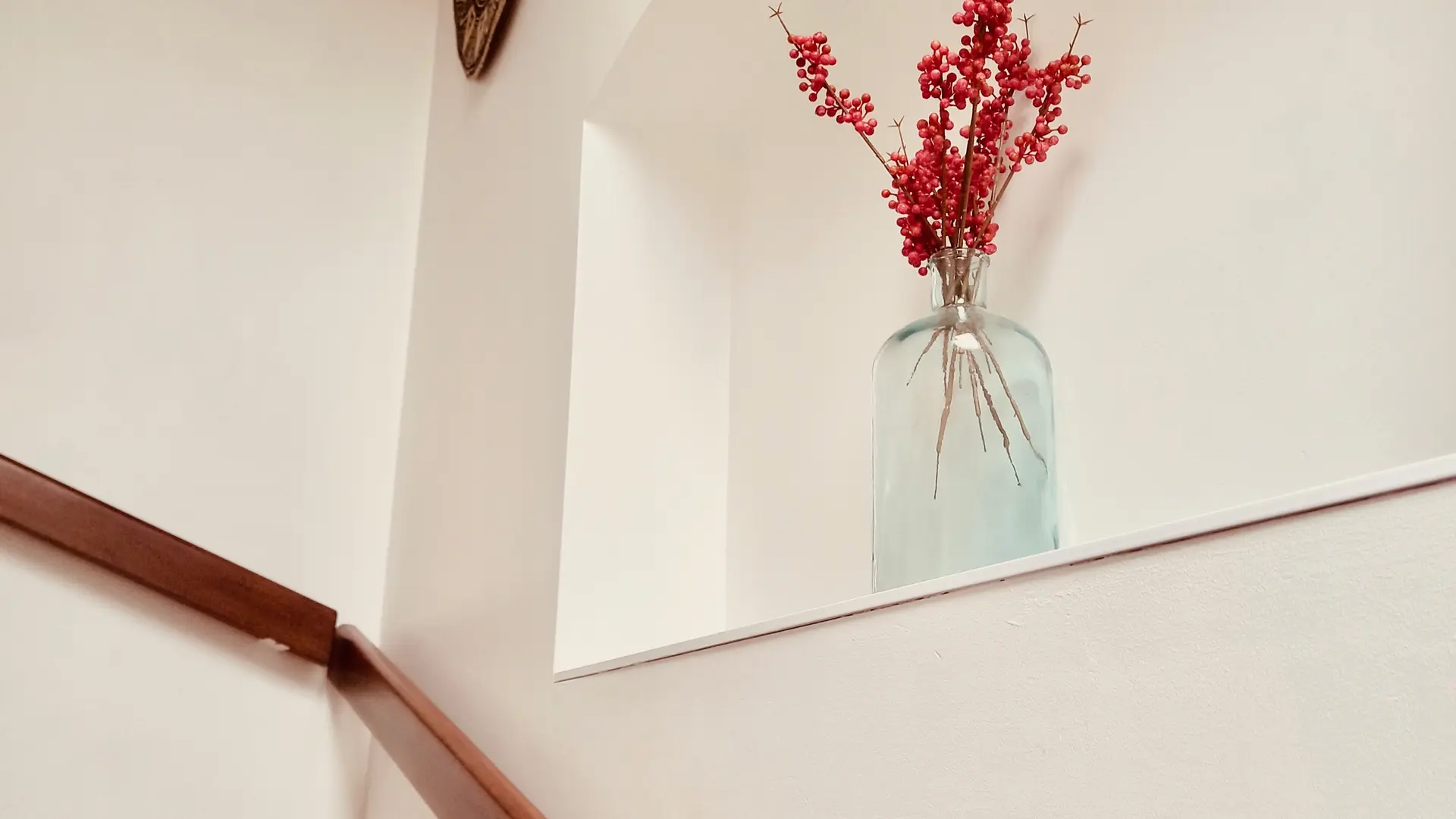 HLO_2024_Gites_Kernolo_Anthemis (5)