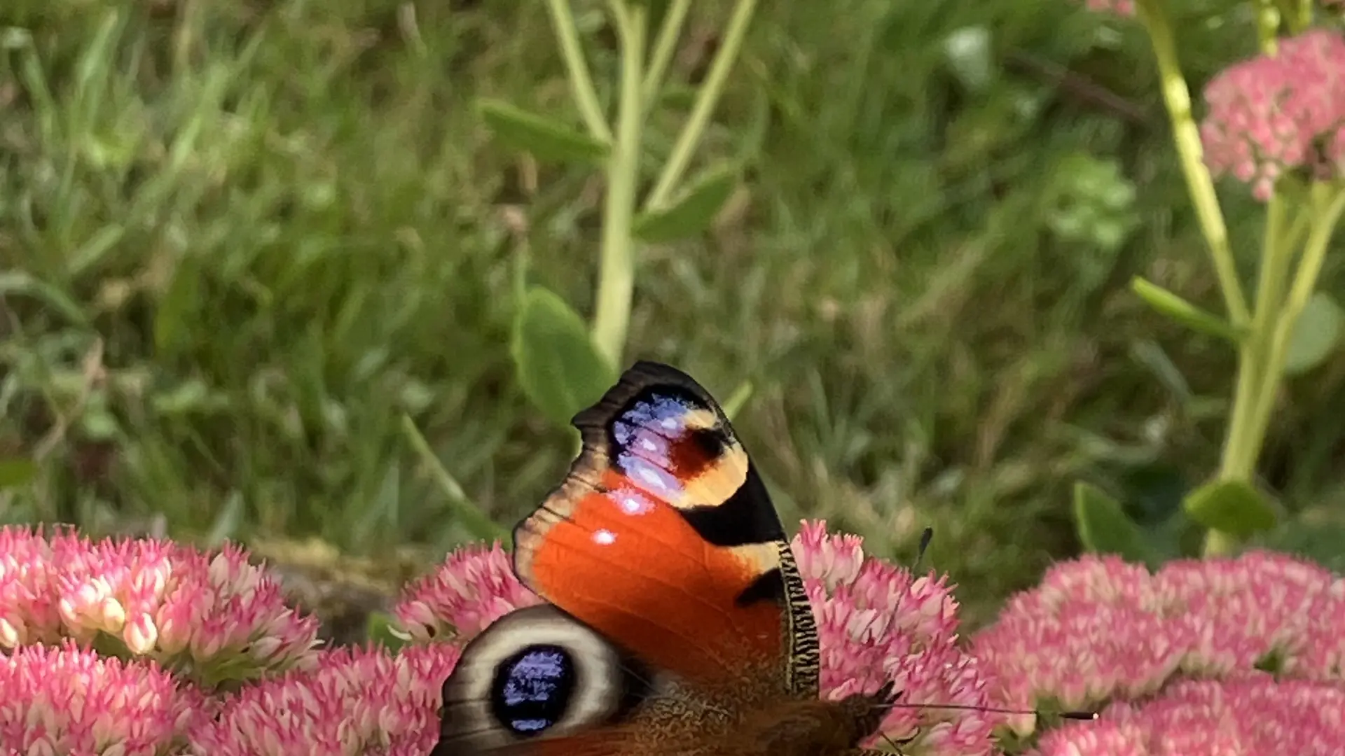 HLO_2024_Longere_Kerguzul (9)