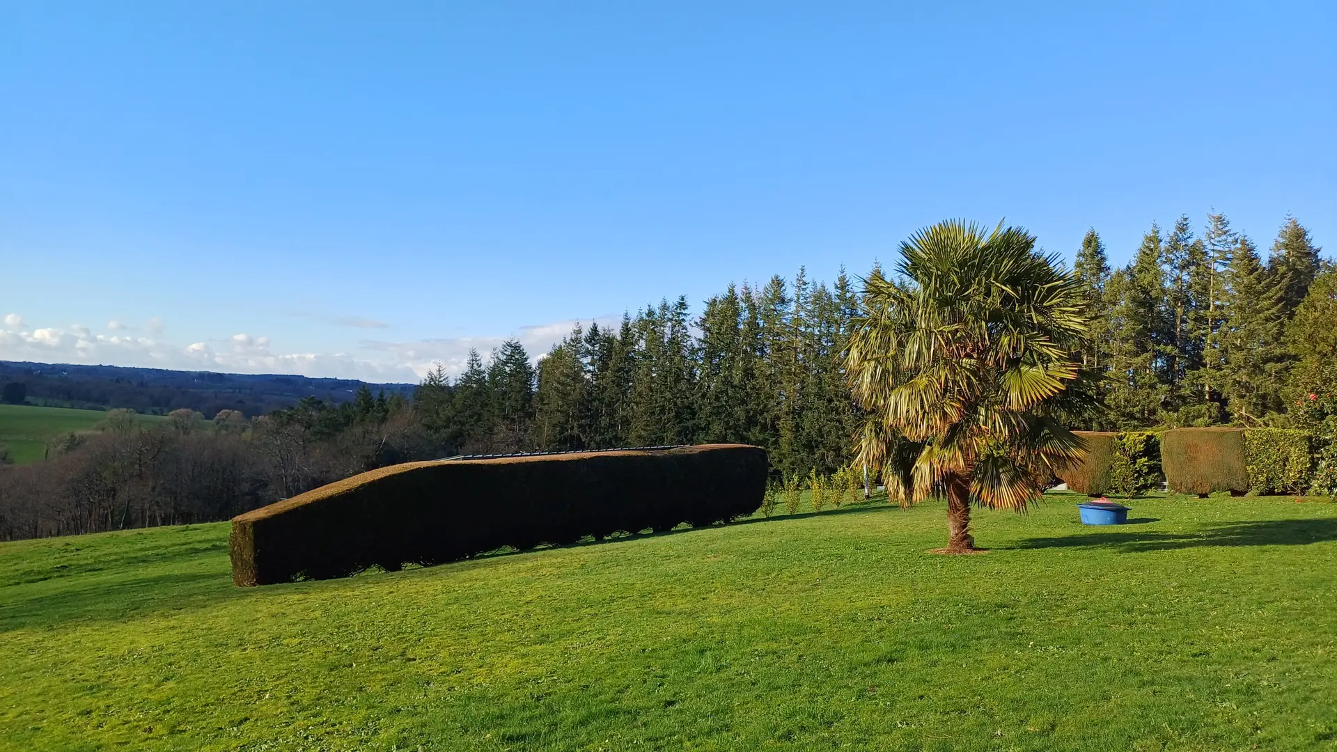 HLO_Maxime_Le_Bail (18)