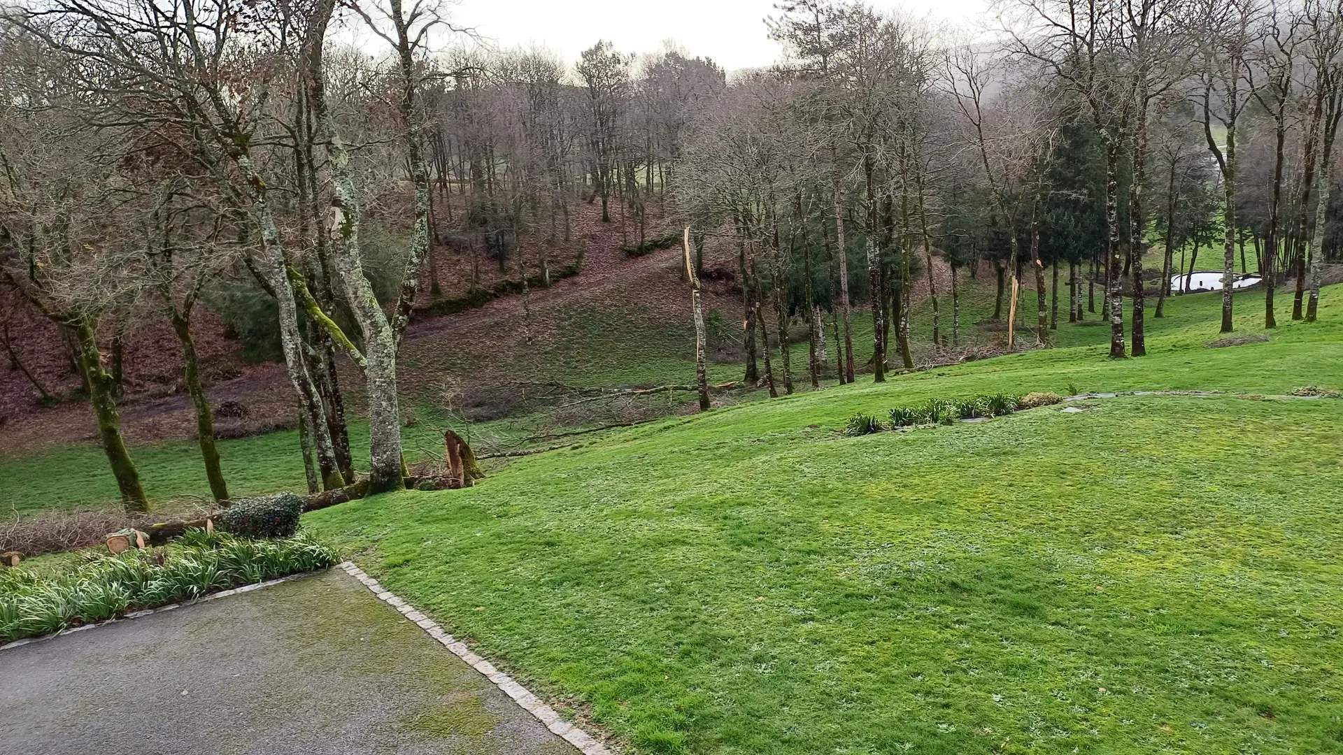 HLO_Maxime_Le_Bail (2)