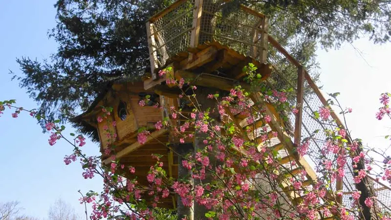 Cabanes du jardin de Pierre