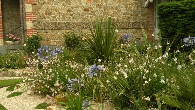 Le Roc Fleuri - La Conchée