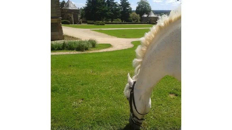 Haras de La Bourdonnaye