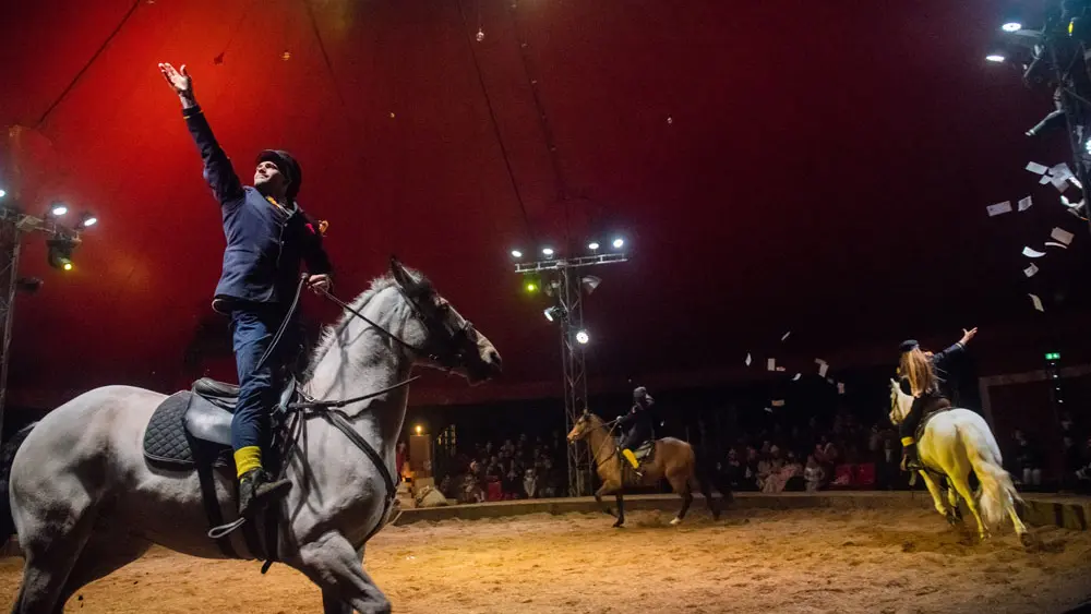Haras National d'Hennebont