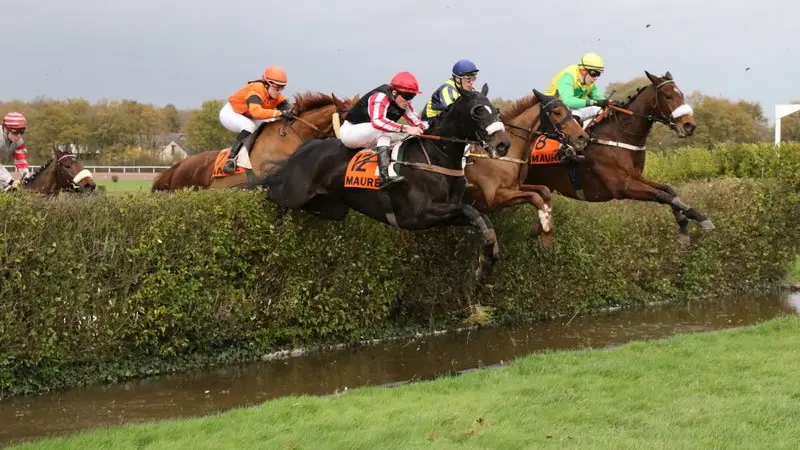 Saut d'obstacle