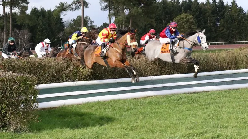 Saut d'obstacle