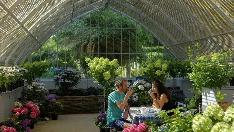 Hortensias - salon de thé - pépinière - Haut bois - Taupont - Bretagne