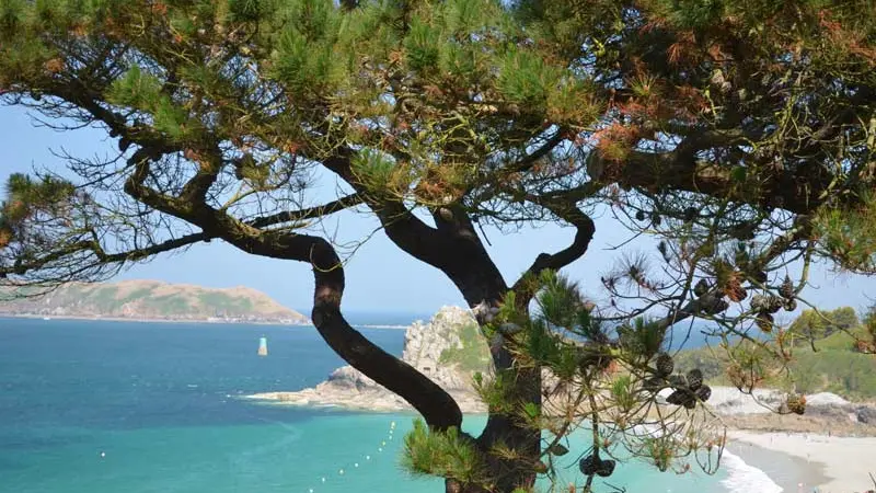 Hôtel Restaurant Les Costans