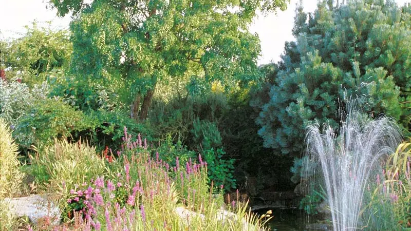 Hôtel la Malouinière des Longchamps