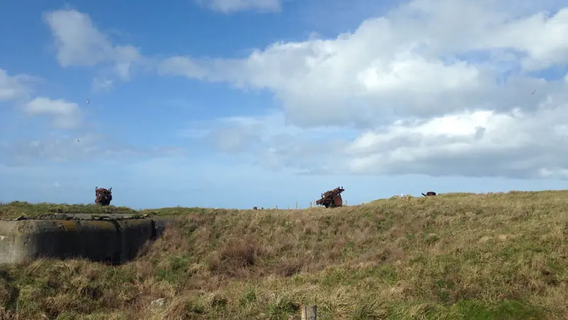 Albatros Lines Navigation