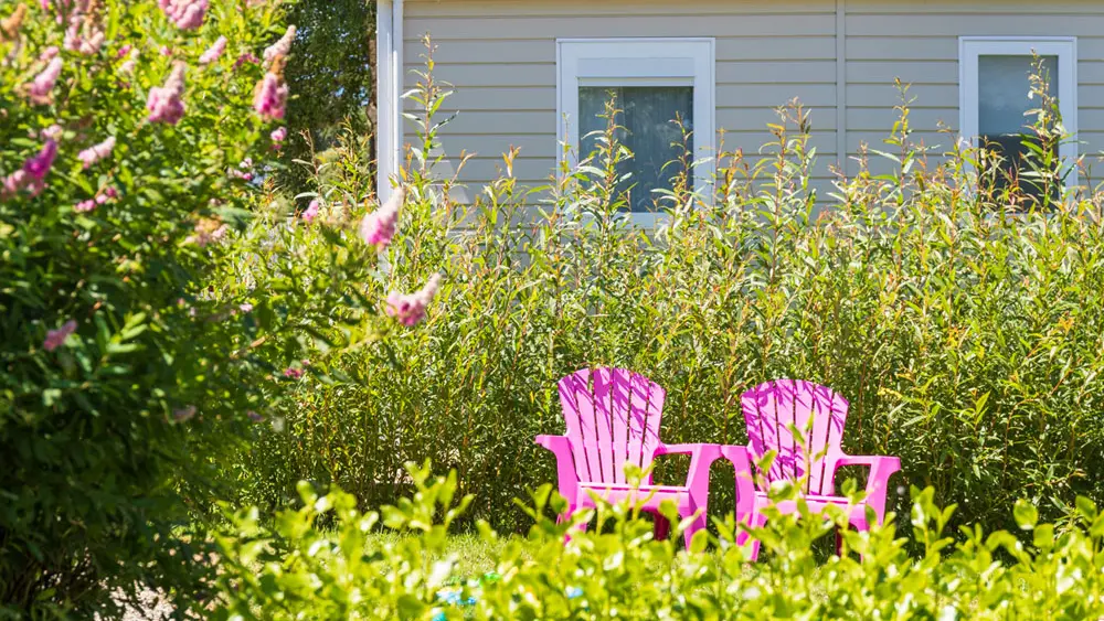 Camping de la Baie de Térenez