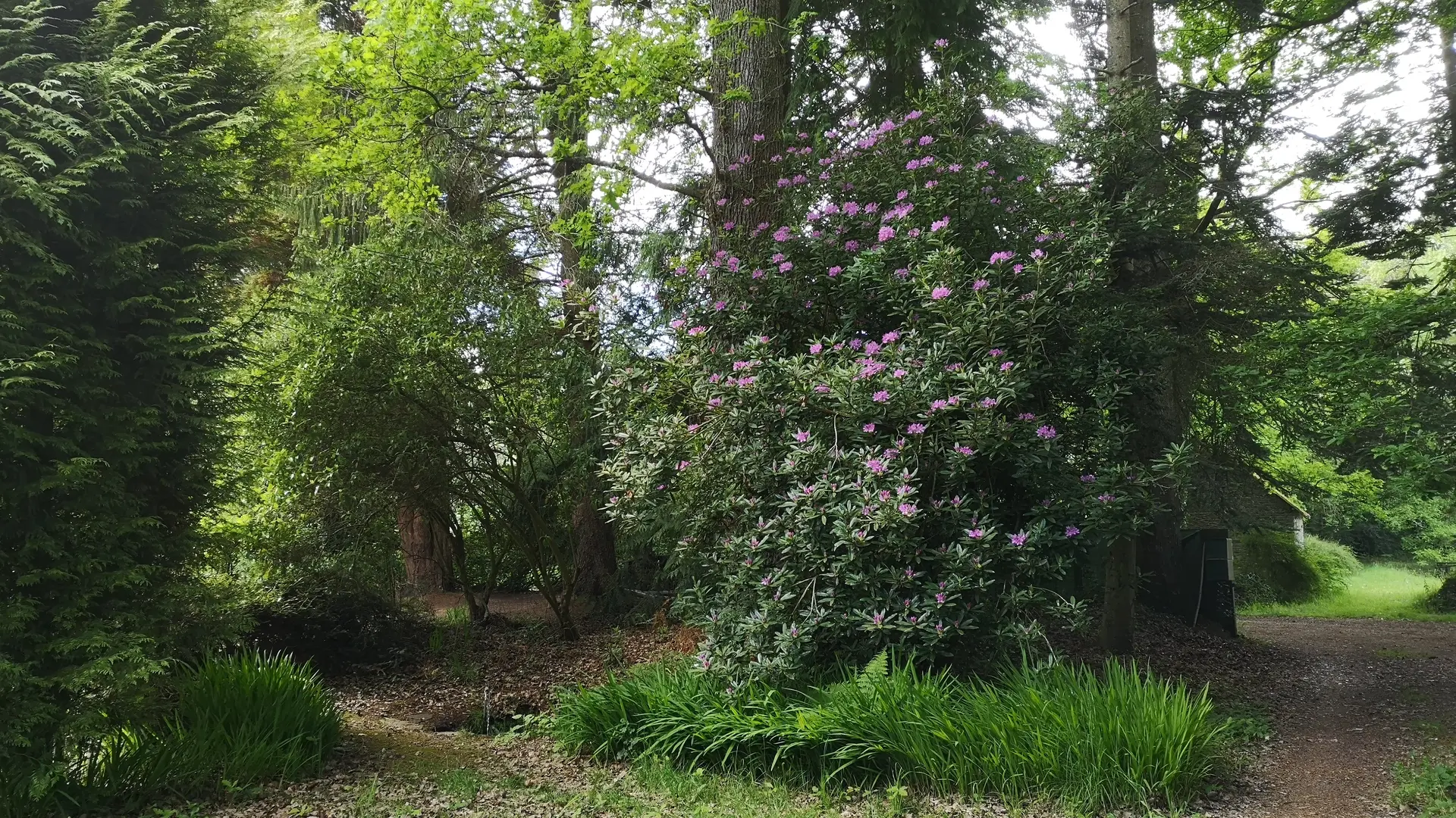 CH sur l'Ille Dana_Paimpont_parc