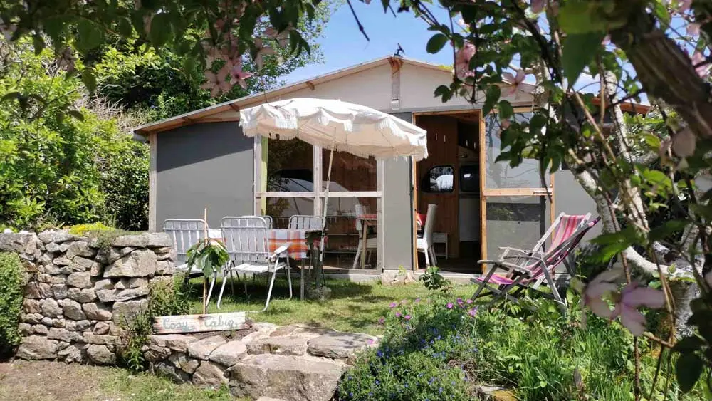 Le Petit Poisson Vert