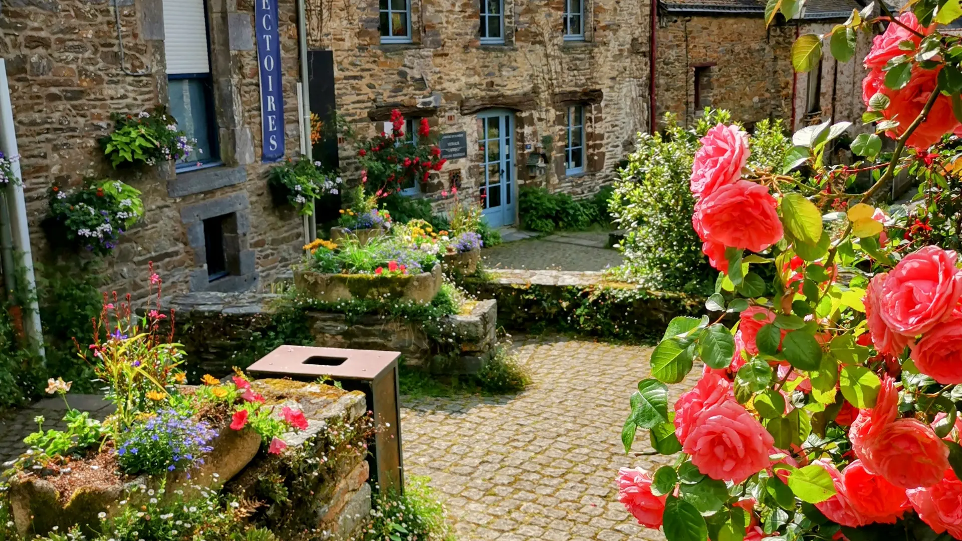 IMG_20250608_104152~2