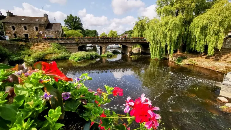 IMG_20250608_104625~2