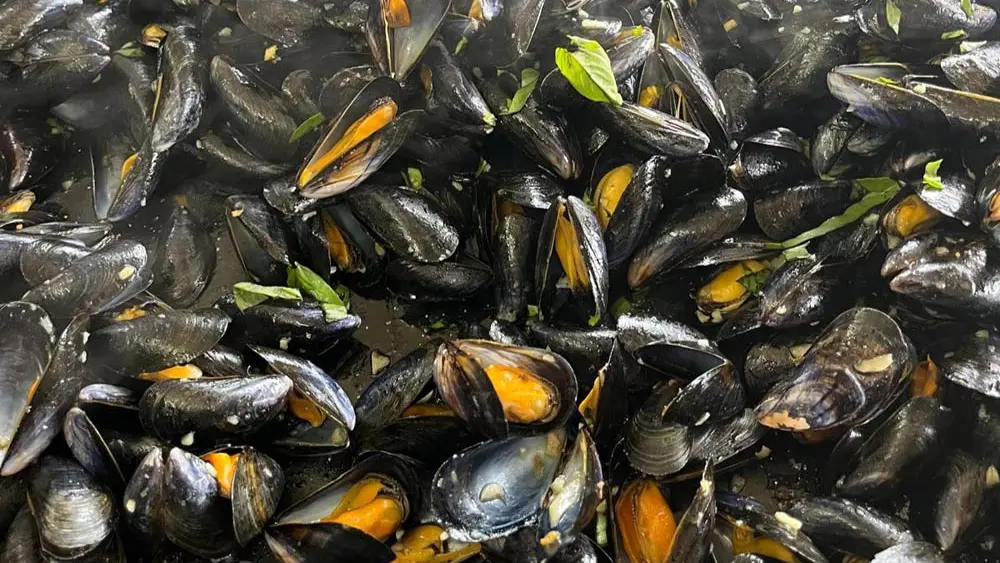 Bicoque - Cantine estivale