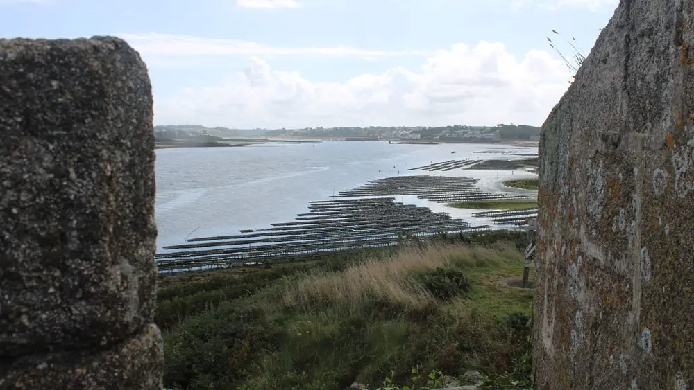 Aber Wrac'h Huîtres Bar