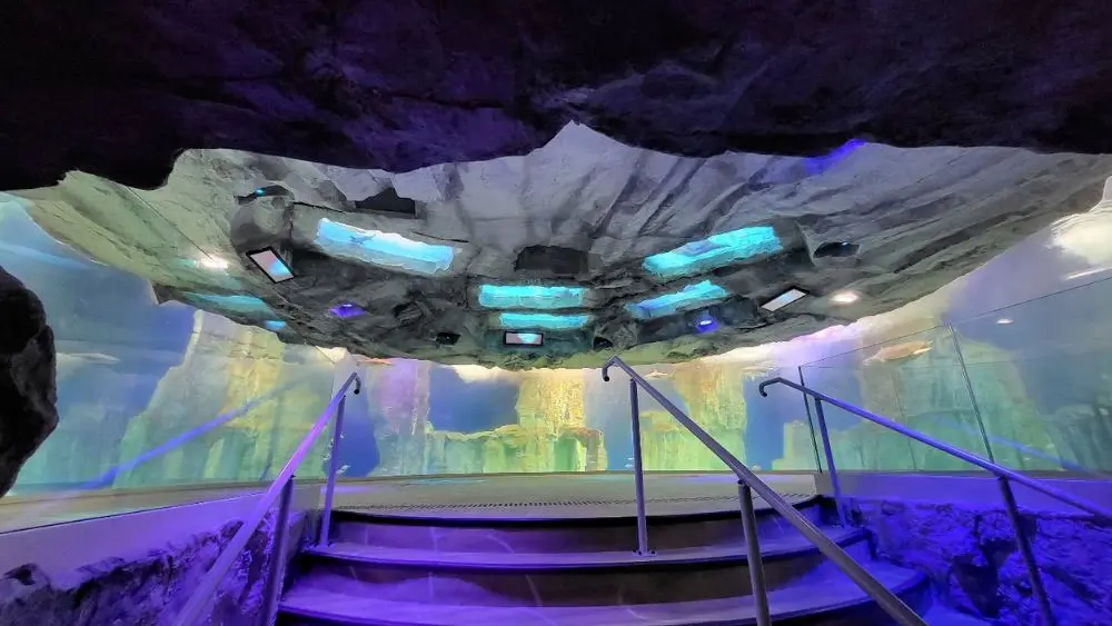 Grand Aquarium de Saint-Malo