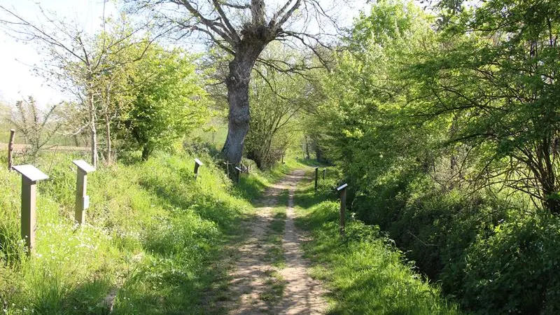 Chemin de la biodiversité