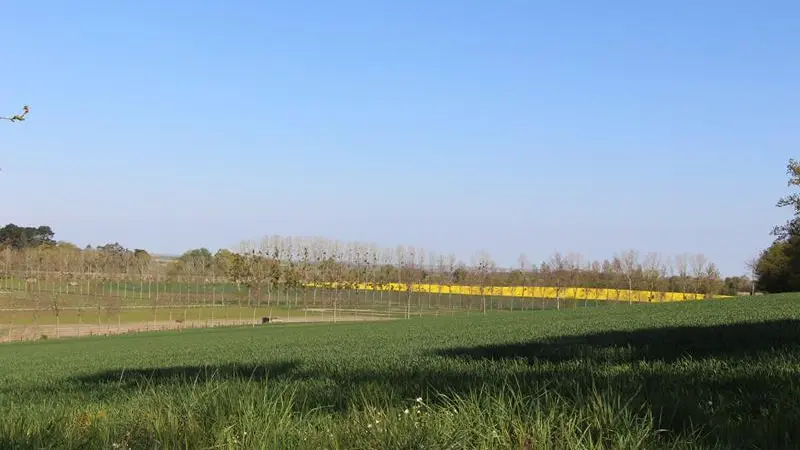 Campagne de Saint-Pern
