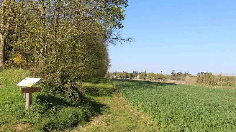 Campagne de Saint-Pern