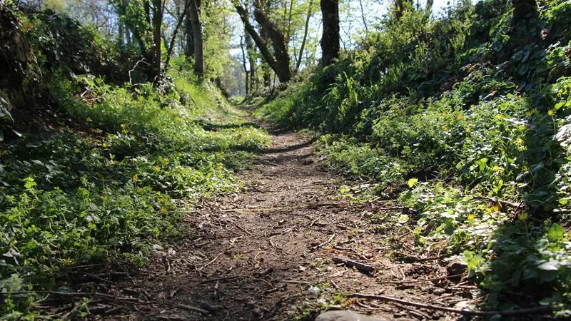 Montée vers Bécherel