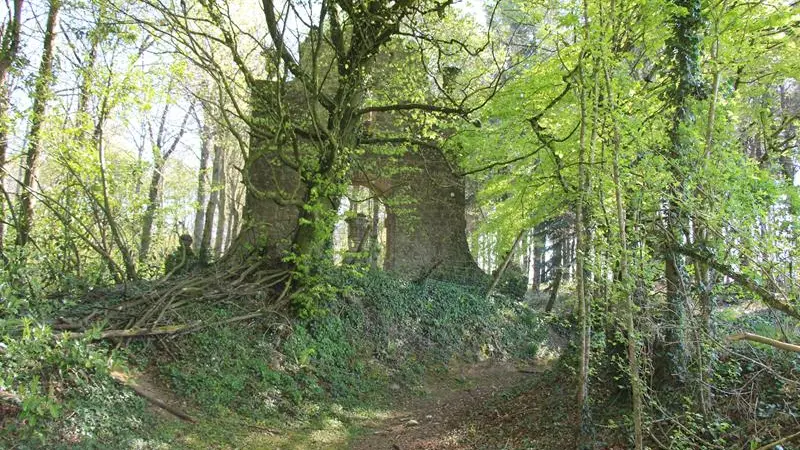 Ruines de Caradeuc