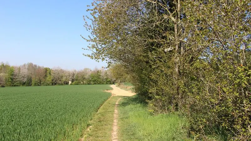 Petit chemin devient grand