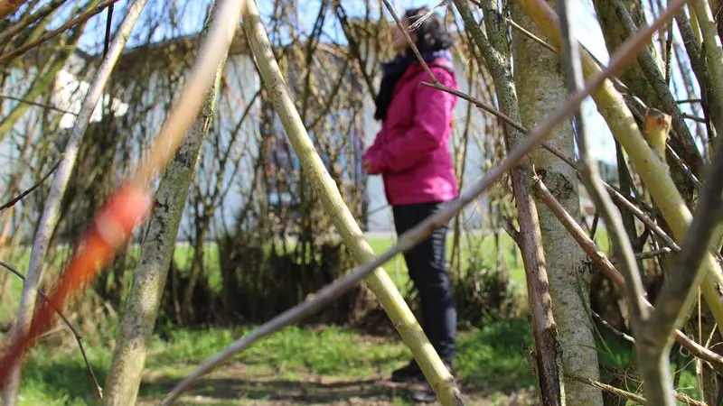 Chemin de la biodiversité
