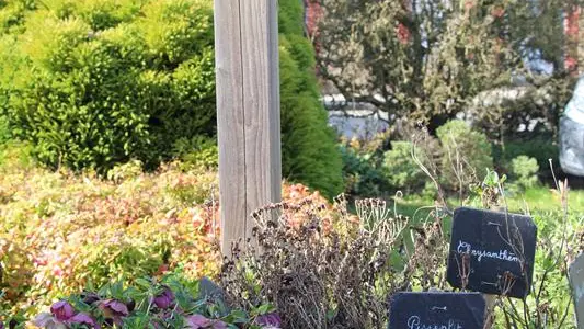 Chemin de la biodiversité