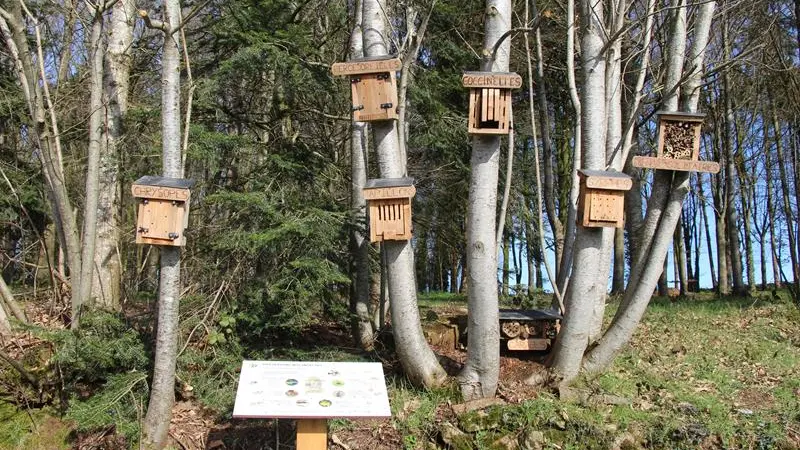 Chemin de la biodiversité