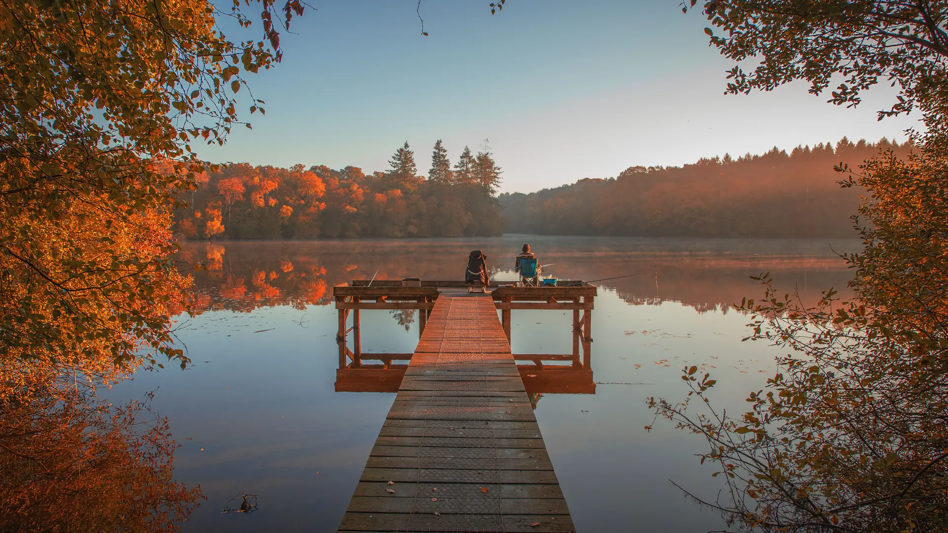 forêt Corbière ©Florine Jubert