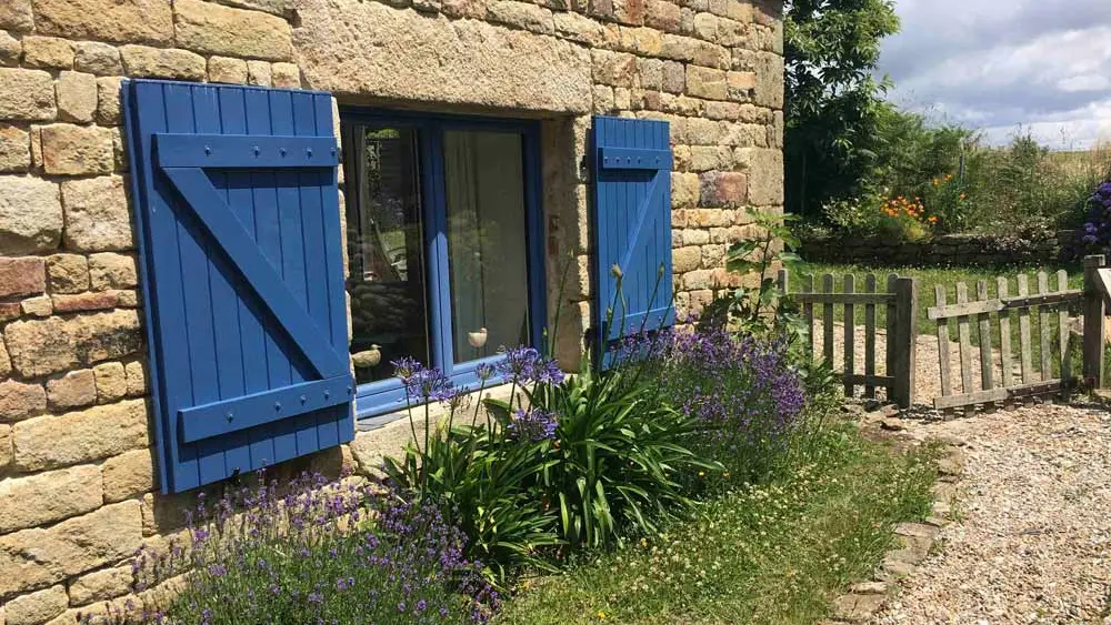 Le Petit Poisson Vert