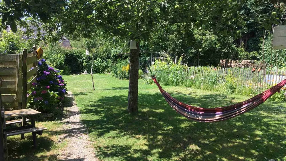 Le Petit Poisson Vert