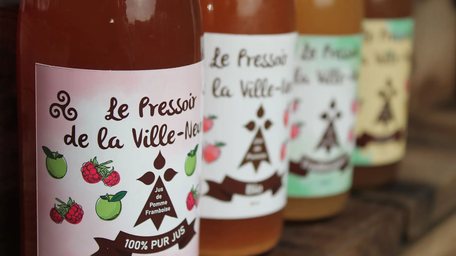 Le pressoir de la Villeneuve_Réguiny