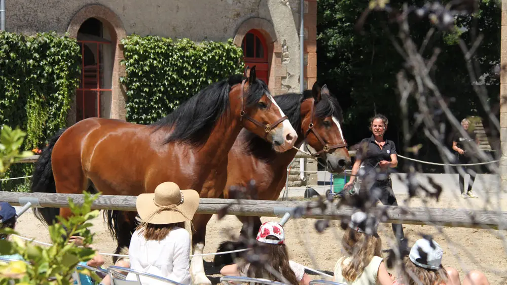 Haras National d'Hennebont