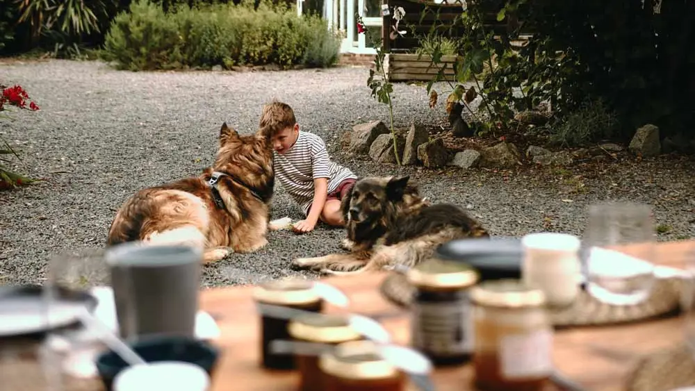Les jardins des coccinelles